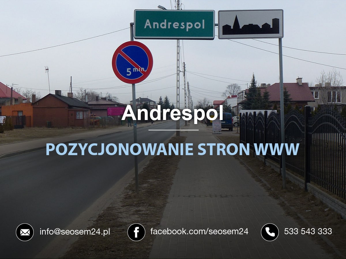 Pozycjonowanie stron www Andrespol
