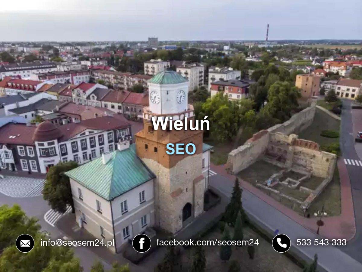 SEO Wieluń