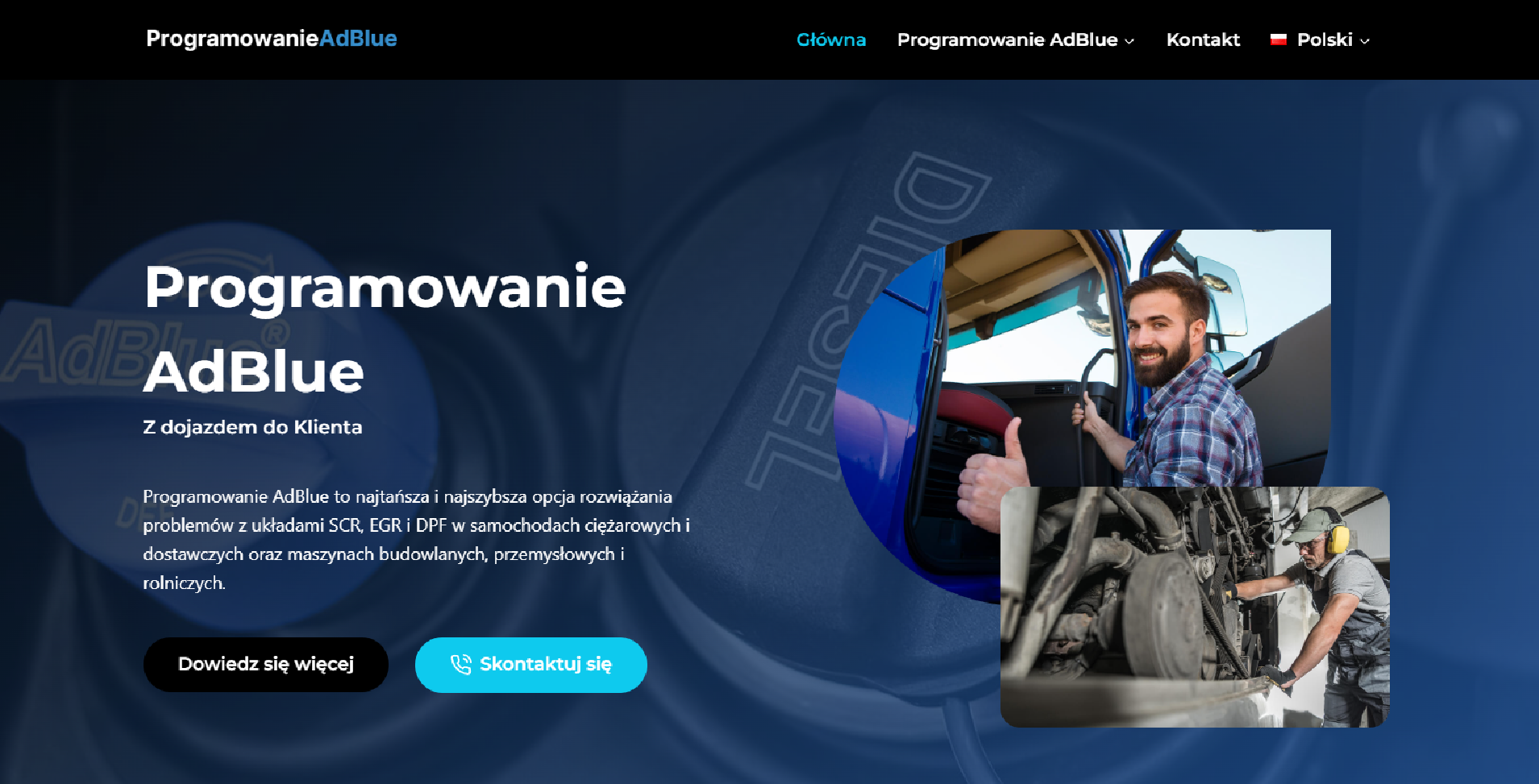 Programowanie AdBlue - strona internetowa wykonana przez SEOSEM24