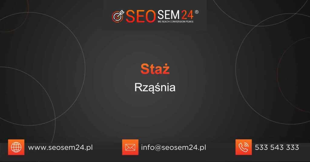 DJPAPA - Strona internetowa zrobiona przez SEOSEM24