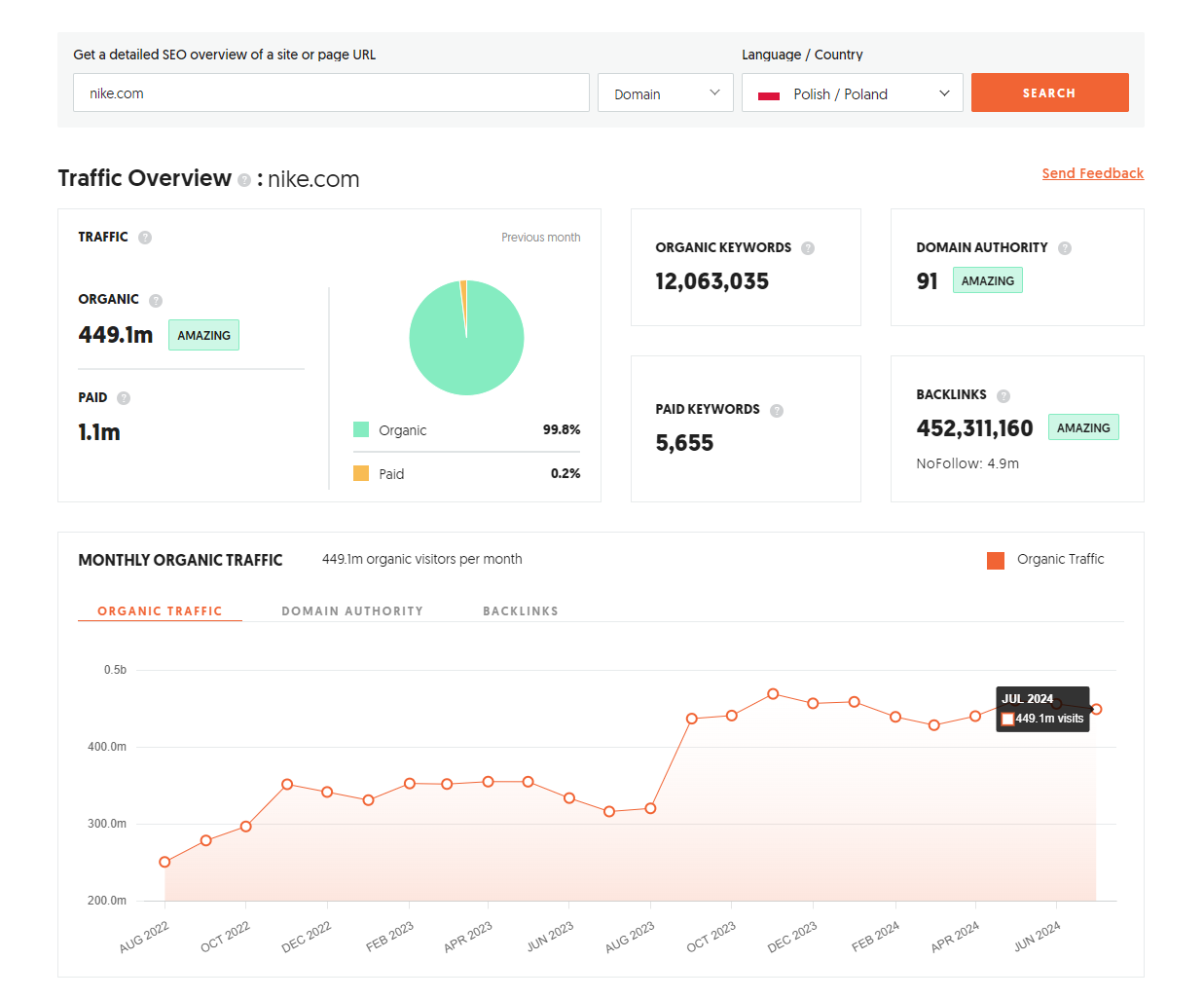 Agencja SEM w Kobylance - Analiza ruchu na stronie nike.com
