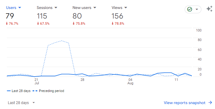 Reklama online w Kaliszu - Raport Google Analytics